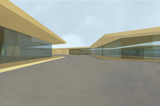 tagore einstein center, forschungsbereich