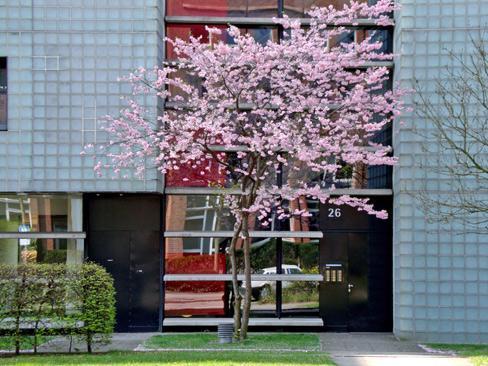 buero und wohnen vtg center, wohnen impression